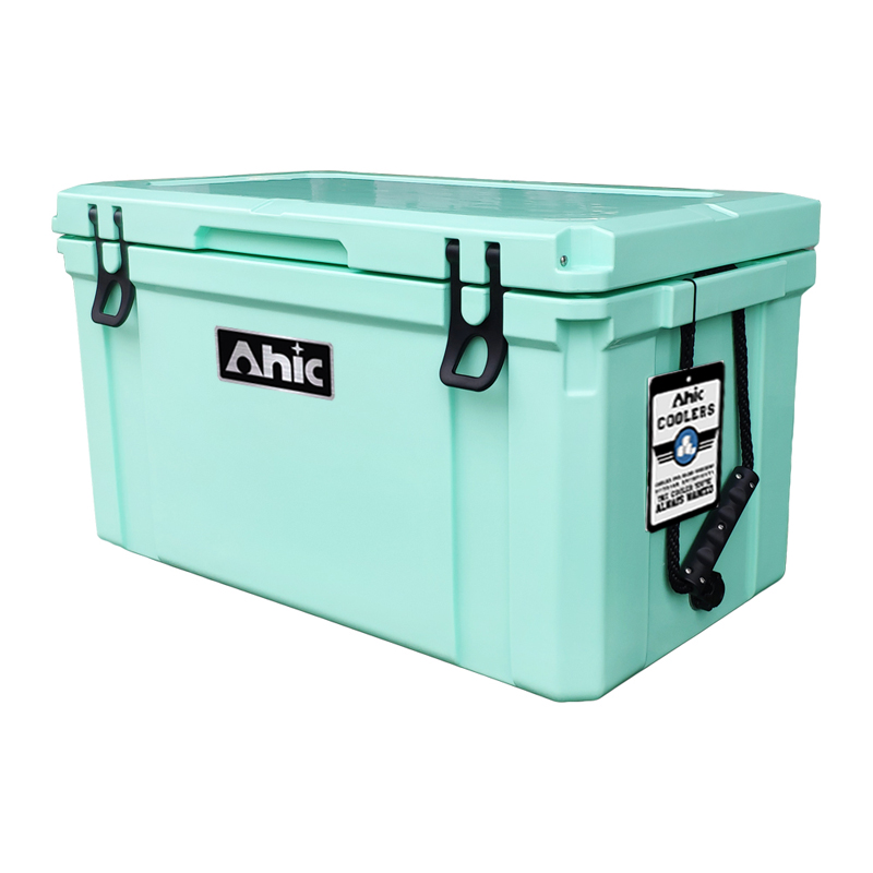 75L Insulated PE Ice Cooler Bo - Food & Snacks Coloring recension och pris