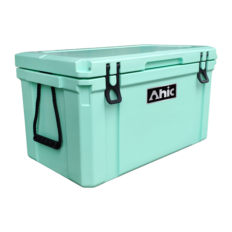 75L Insulated PE Ice Cooler Bo - Food & Snacks Coloring recension och pris